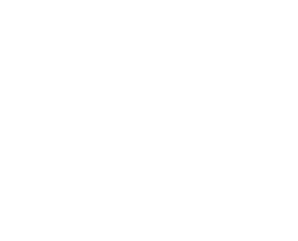 logo main