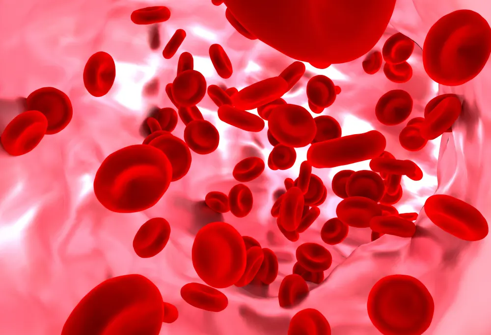 Image of blog post Iron and Folate Deficiency: Wh
